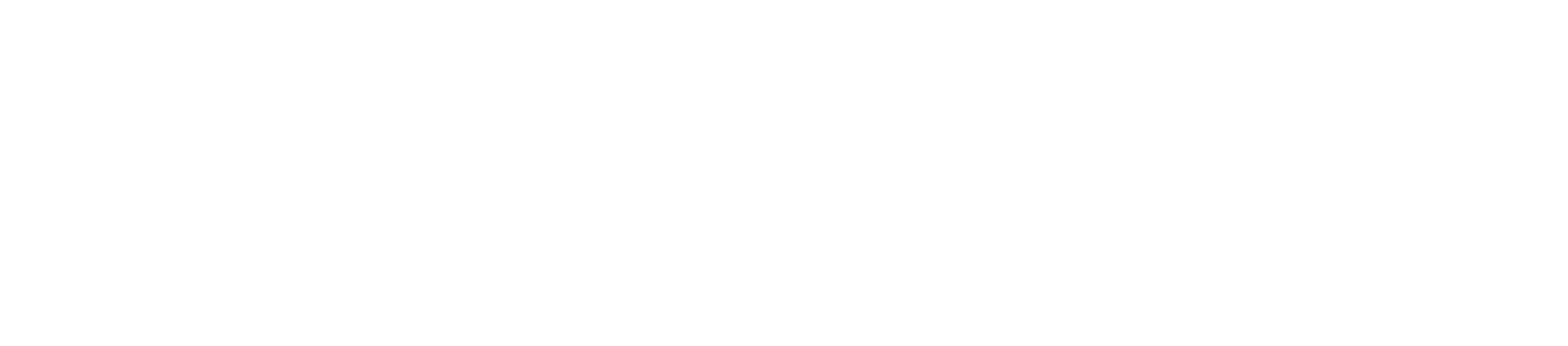 System-Loco-Logo_Mono-White